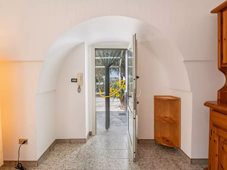 Immagine 8 di Baita in vendita  in S. C. 69-1 C. da Mancini a Locorotondo