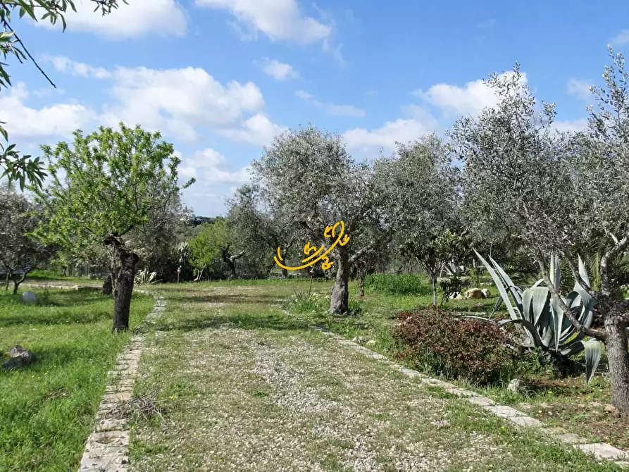 Immagine 24 di Villa in vendita  in Strada Comunale Parco Balistris a Polignano A Mare