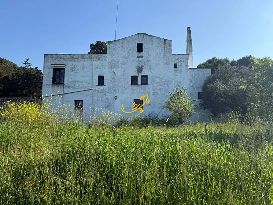 Immagine 3 di Rustico / casale in vendita  in C.da Santo Stefano a Conversano