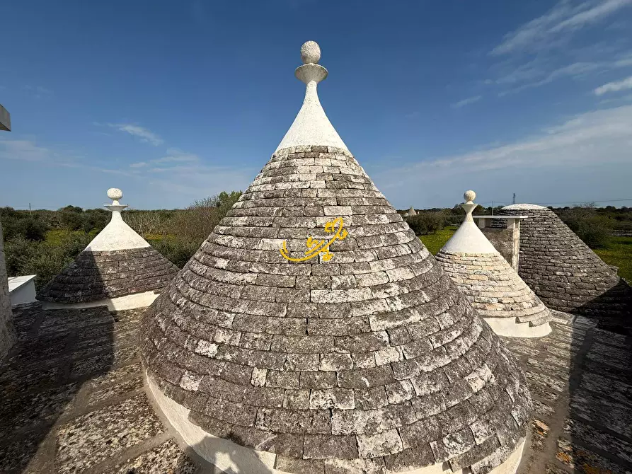 Immagine 25 di Baita in vendita  in STRADA COMUNALE 198-4 C. da Pellegrini a Locorotondo