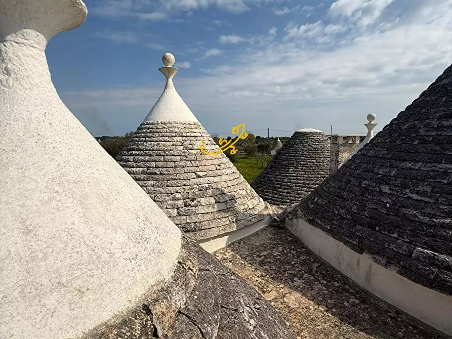 Immagine 27 di Baita in vendita  in STRADA COMUNALE 198-4 C. da Pellegrini a Locorotondo
