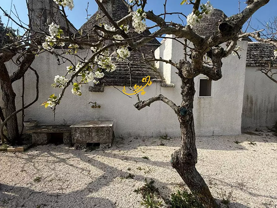 Immagine 30 di Baita in vendita  in STRADA COMUNALE 198-4 C. da Pellegrini a Locorotondo