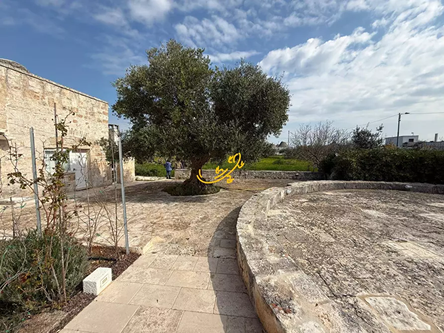 Immagine 7 di Baita in vendita  in STRADA COMUNALE 198-4 C. da Pellegrini a Locorotondo