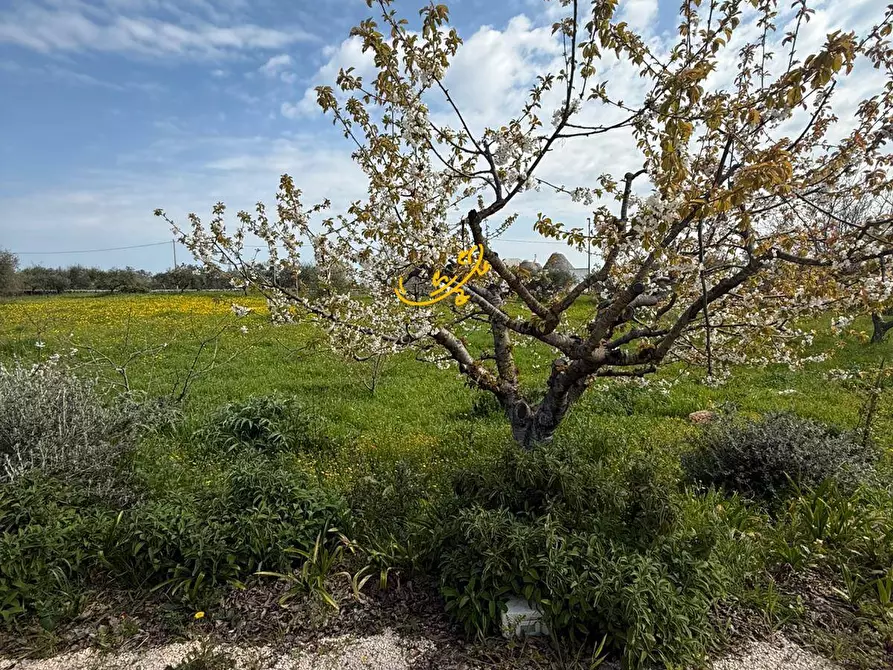 Immagine 34 di Baita in vendita  in STRADA COMUNALE 198-4 C. da Pellegrini a Locorotondo