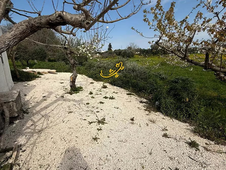 Immagine 35 di Baita in vendita  in STRADA COMUNALE 198-4 C. da Pellegrini a Locorotondo