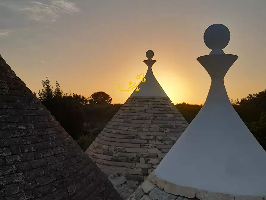 Immagine 28 di Baita in vendita  in STRADA COMUNALE 198-4 C. da Pellegrini a Locorotondo