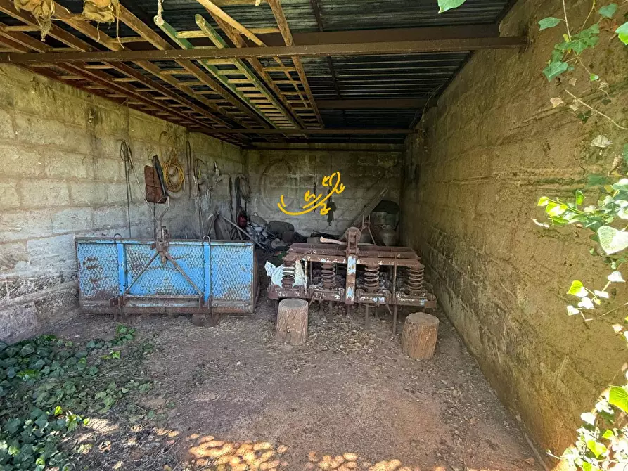 Immagine 2 di Rustico / casale in vendita  in Via Case Sparse a Polignano A Mare