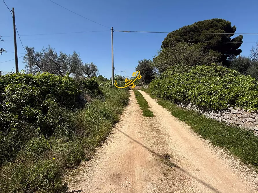 Immagine 3 di Rustico / casale in vendita  in Via Case Sparse a Polignano A Mare