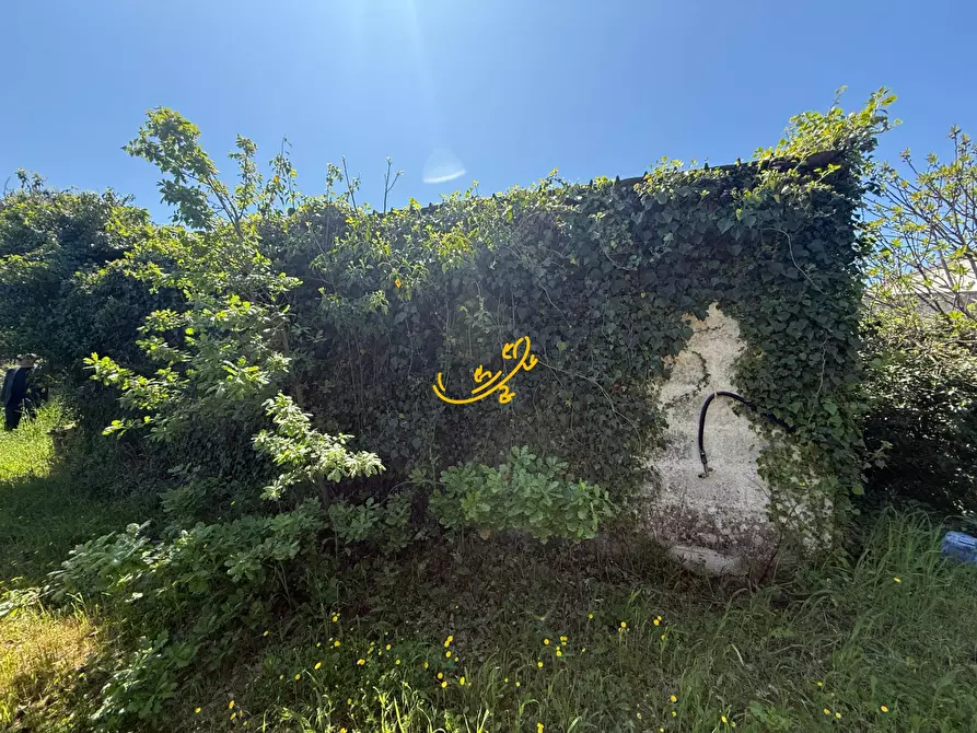 Immagine 4 di Rustico / casale in vendita  in Via Case Sparse a Polignano A Mare