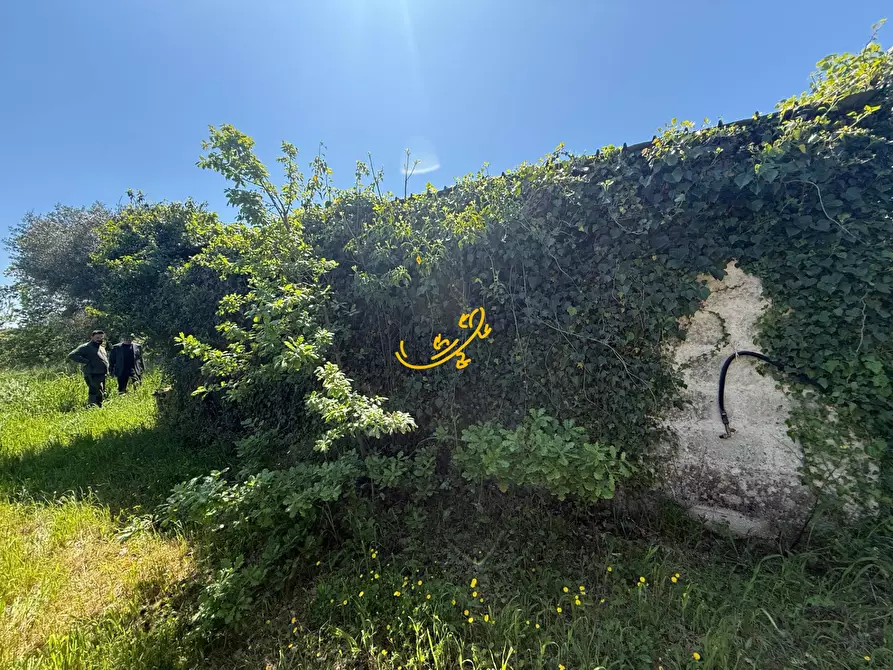 Immagine 5 di Rustico / casale in vendita  in Via Case Sparse a Polignano A Mare