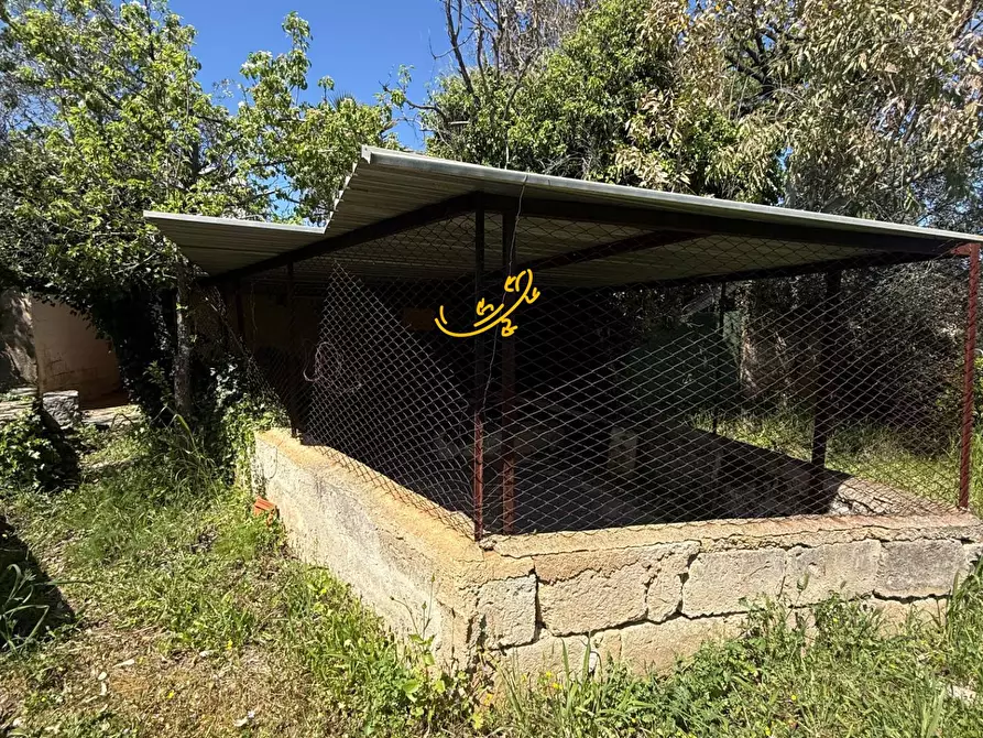 Immagine 6 di Rustico / casale in vendita  in Via Case Sparse a Polignano A Mare