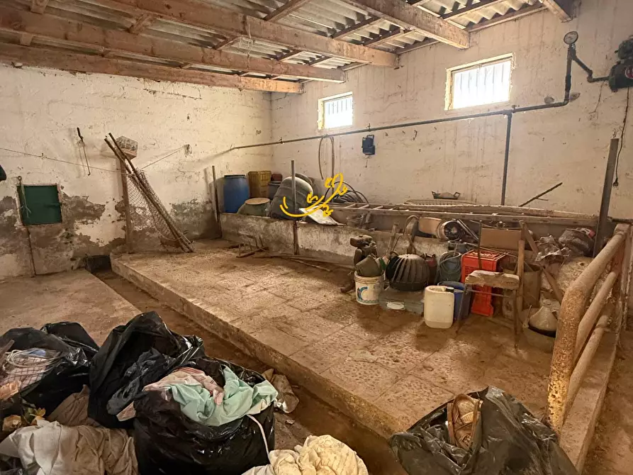 Immagine 9 di Rustico / casale in vendita  in Via Case Sparse a Polignano A Mare