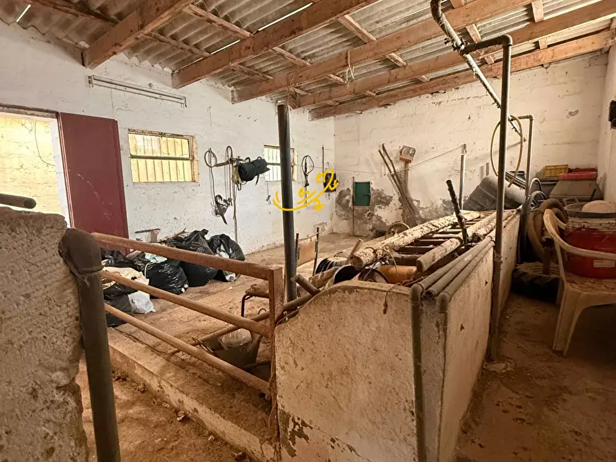 Immagine 11 di Rustico / casale in vendita  in Via Case Sparse a Polignano A Mare