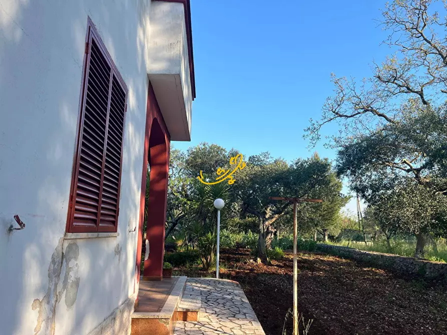 Immagine 5 di Villa in vendita  in Strada Comunale Torre Due Pani 1 a Castellana Grotte