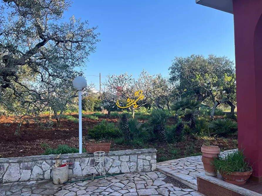 Immagine 6 di Villa in vendita  in Strada Comunale Torre Due Pani 1 a Castellana Grotte