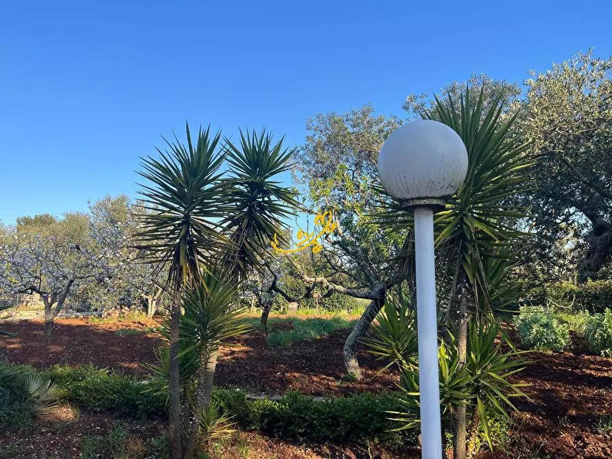 Immagine 7 di Villa in vendita  in Strada Comunale Torre Due Pani 1 a Castellana Grotte