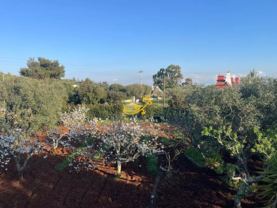 Immagine 20 di Villa in vendita  in Strada Comunale Torre Due Pani 1 a Castellana Grotte