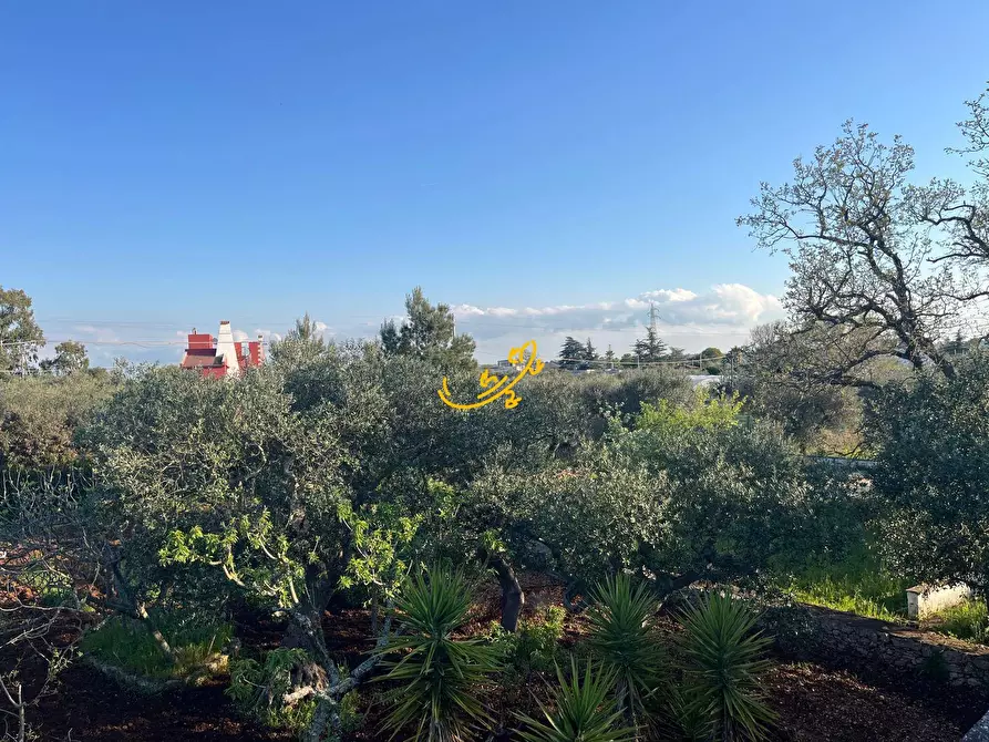 Immagine 21 di Villa in vendita  in Strada Comunale Torre Due Pani 1 a Castellana Grotte