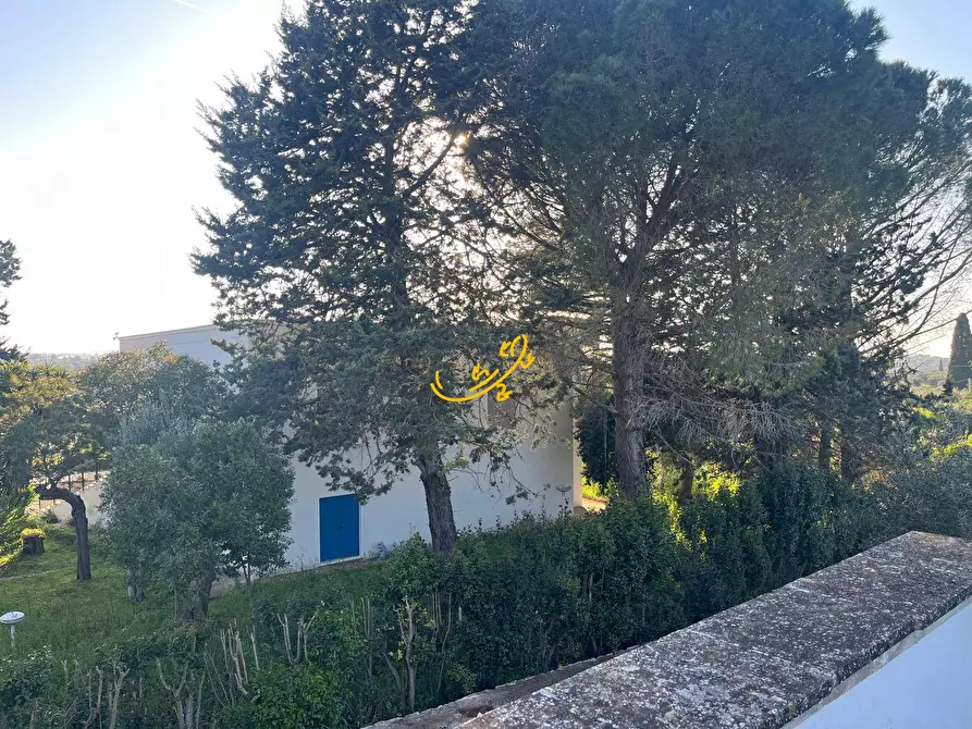 Immagine 22 di Villa in vendita  in Strada Comunale Torre Due Pani 1 a Castellana Grotte