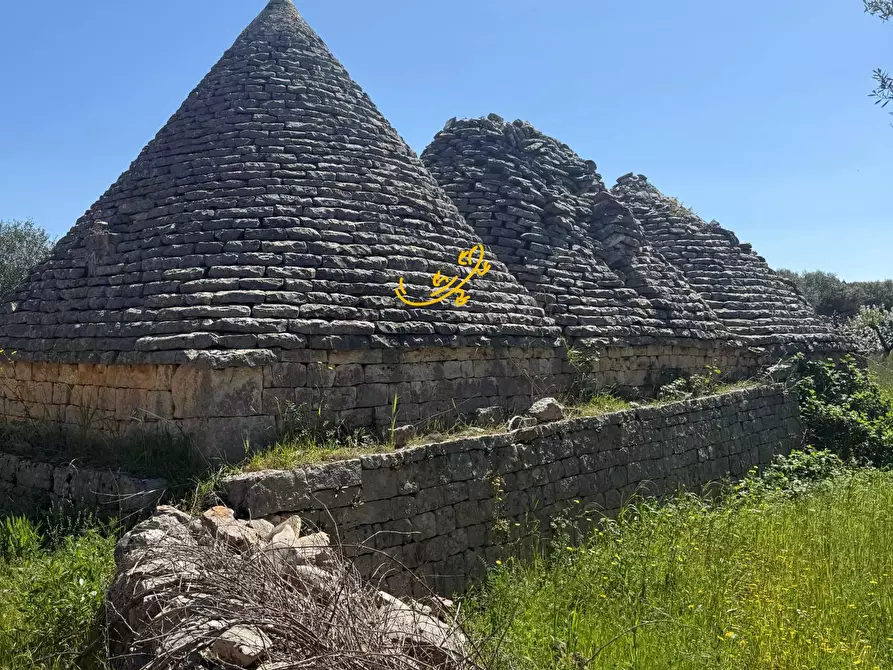 Immagine 2 di Baita in vendita  in Contrada San Pietro a Conversano