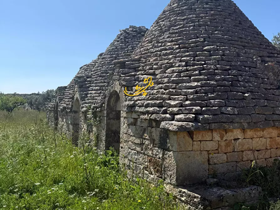 Immagine 3 di Baita in vendita  in Contrada San Pietro a Conversano