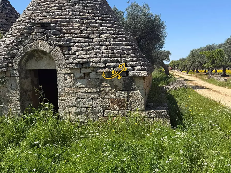 Immagine 5 di Baita in vendita  in Contrada San Pietro a Conversano