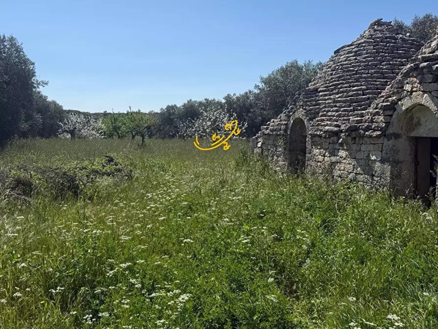 Immagine 7 di Baita in vendita  in Contrada San Pietro a Conversano