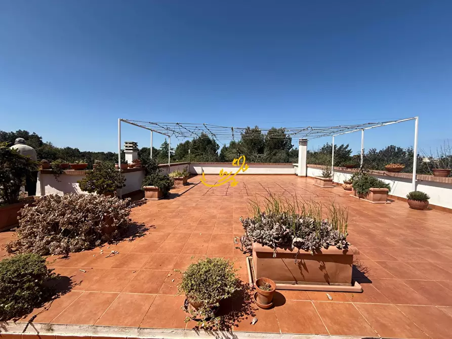 Immagine 58 di Villa in vendita  in Contrada Lamascrasciola a Monopoli
