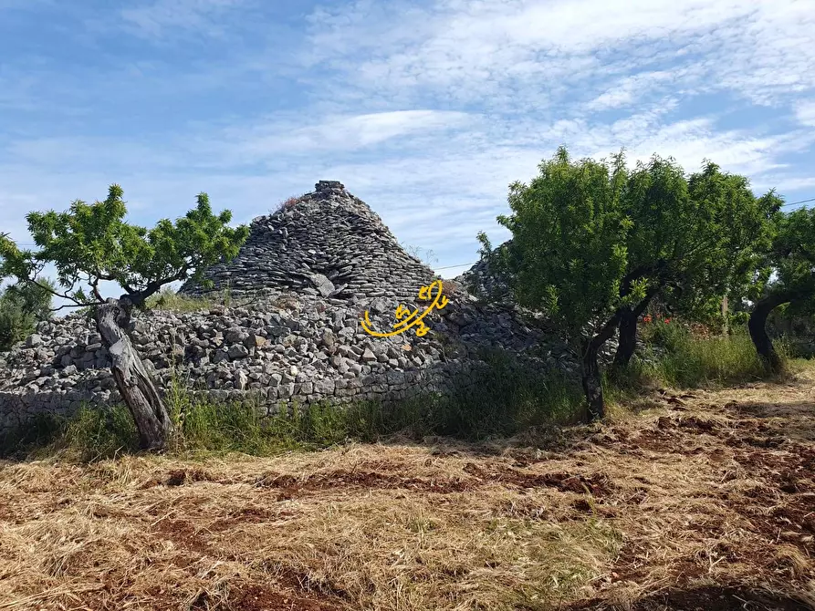Immagine 2 di Baita in vendita  in Contrada Tavarello a Monopoli