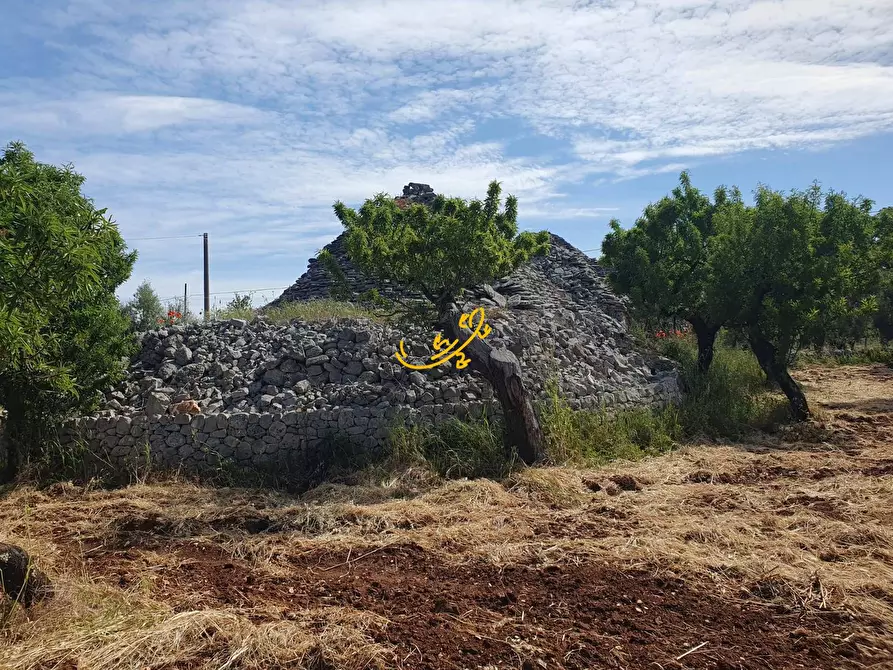 Immagine 3 di Baita in vendita  in Contrada Tavarello a Monopoli