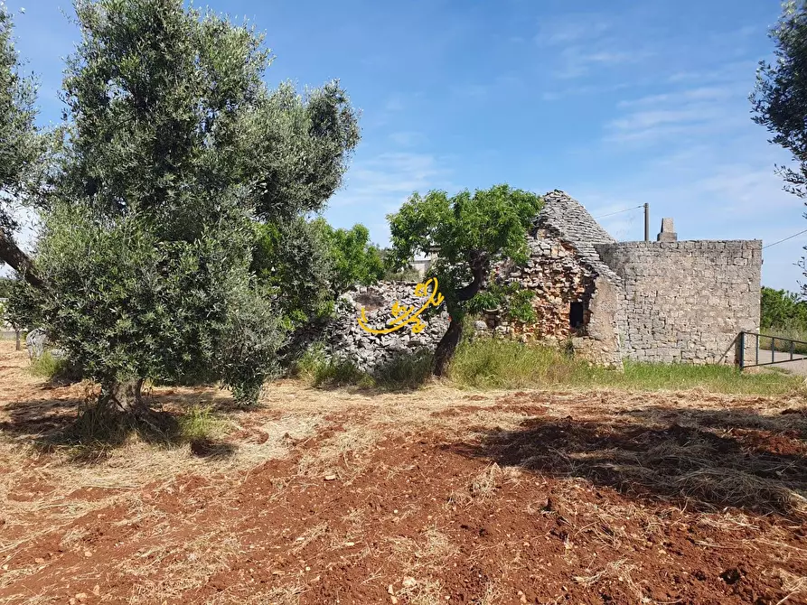 Immagine 5 di Baita in vendita  in Contrada Tavarello a Monopoli