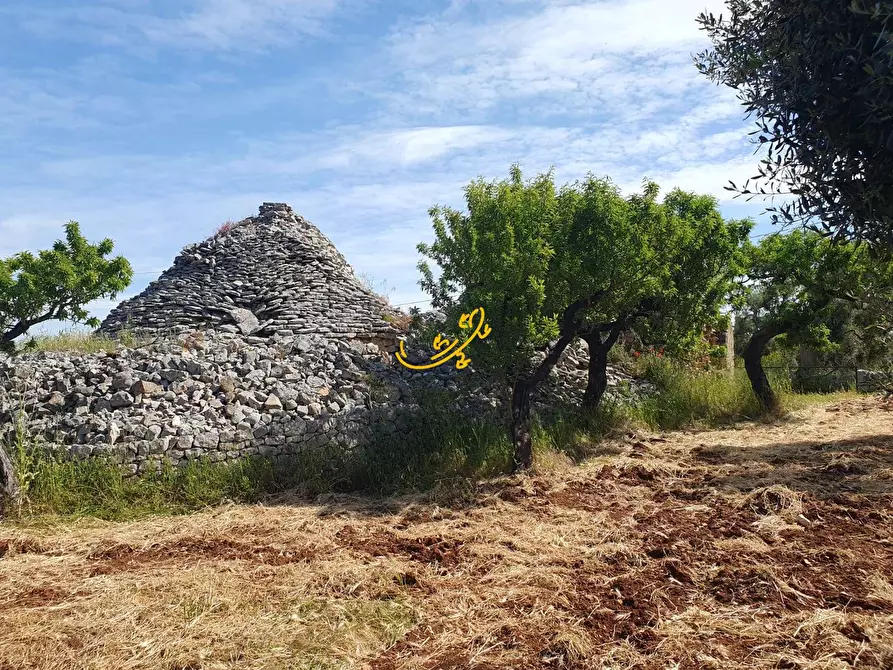 Immagine 6 di Baita in vendita  in Contrada Tavarello a Monopoli