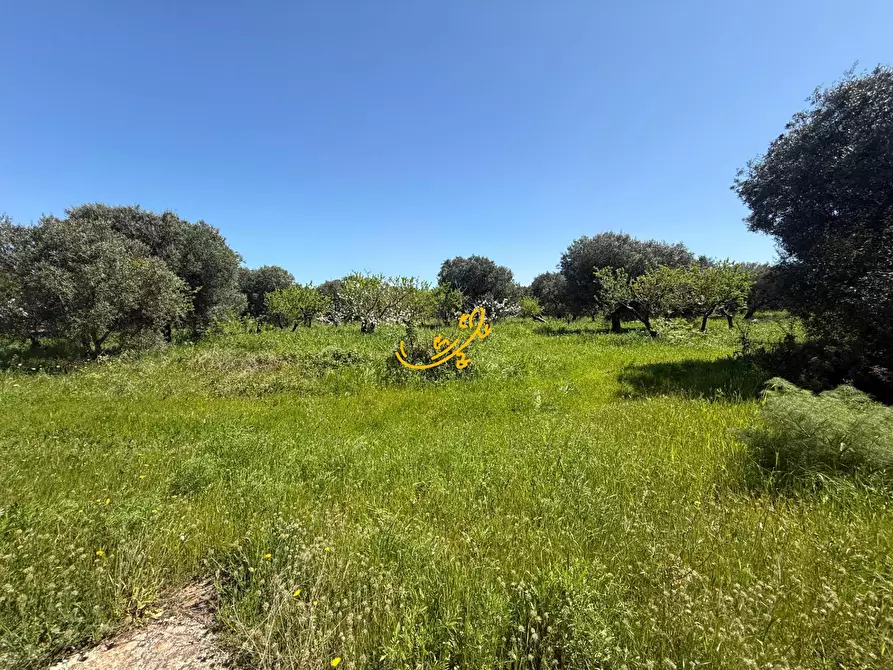 Immagine 10 di Rustico / casale in vendita  in STRADA PROVINCIALE POLIGNANO-CASTELLANA G. N. 120 a Polignano A Mare