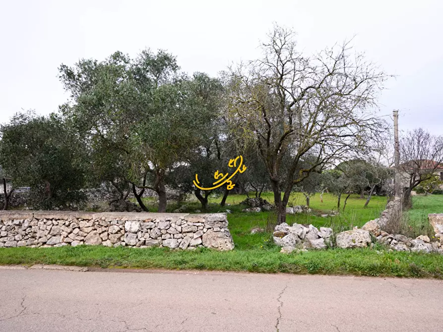 Immagine 2 di Baita in vendita  in C. da Santa Maria del Soccorso a Noci
