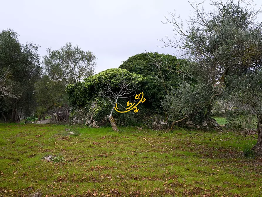 Immagine 3 di Baita in vendita  in C. da Santa Maria del Soccorso a Noci