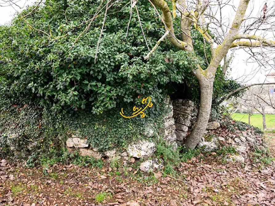 Immagine 4 di Baita in vendita  in C. da Santa Maria del Soccorso a Noci