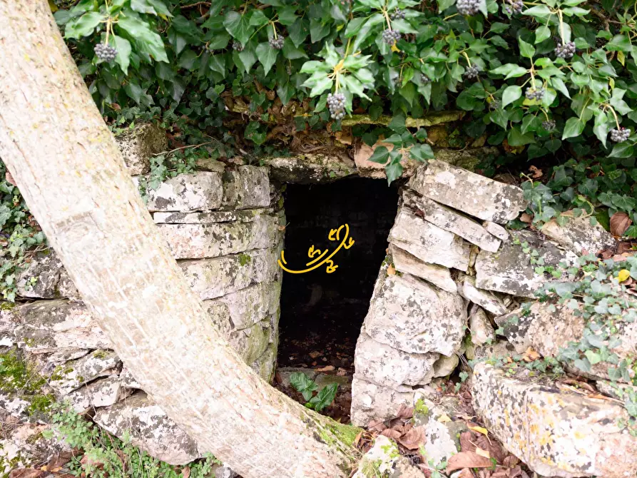 Immagine 5 di Baita in vendita  in C. da Santa Maria del Soccorso a Noci