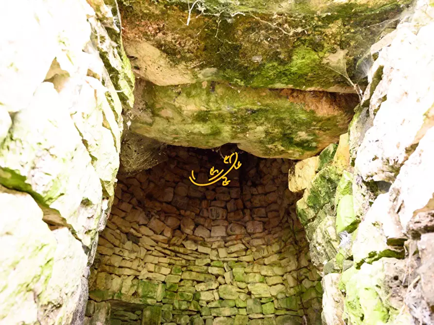 Immagine 8 di Baita in vendita  in C. da Santa Maria del Soccorso a Noci