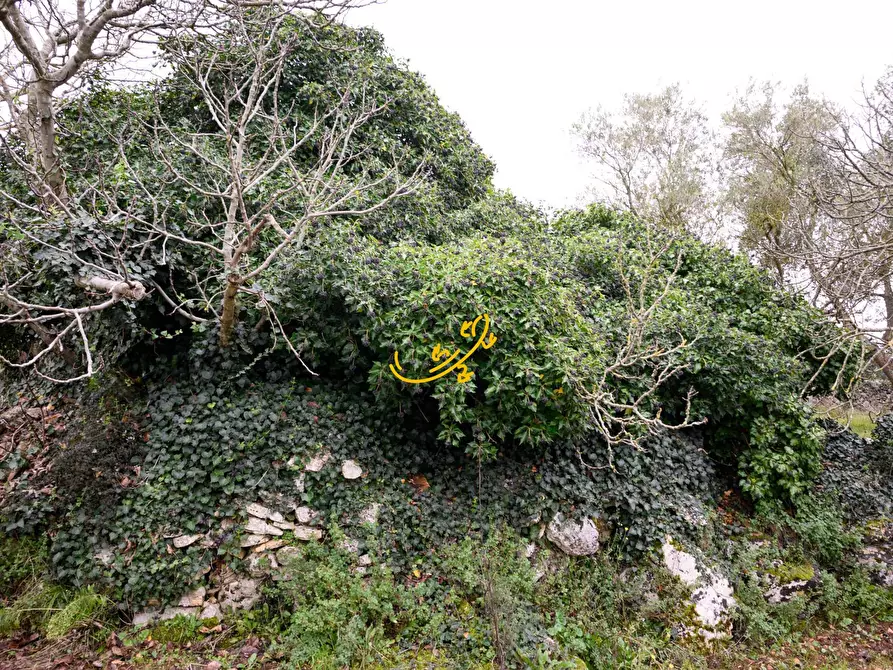 Immagine 10 di Baita in vendita  in C. da Santa Maria del Soccorso a Noci
