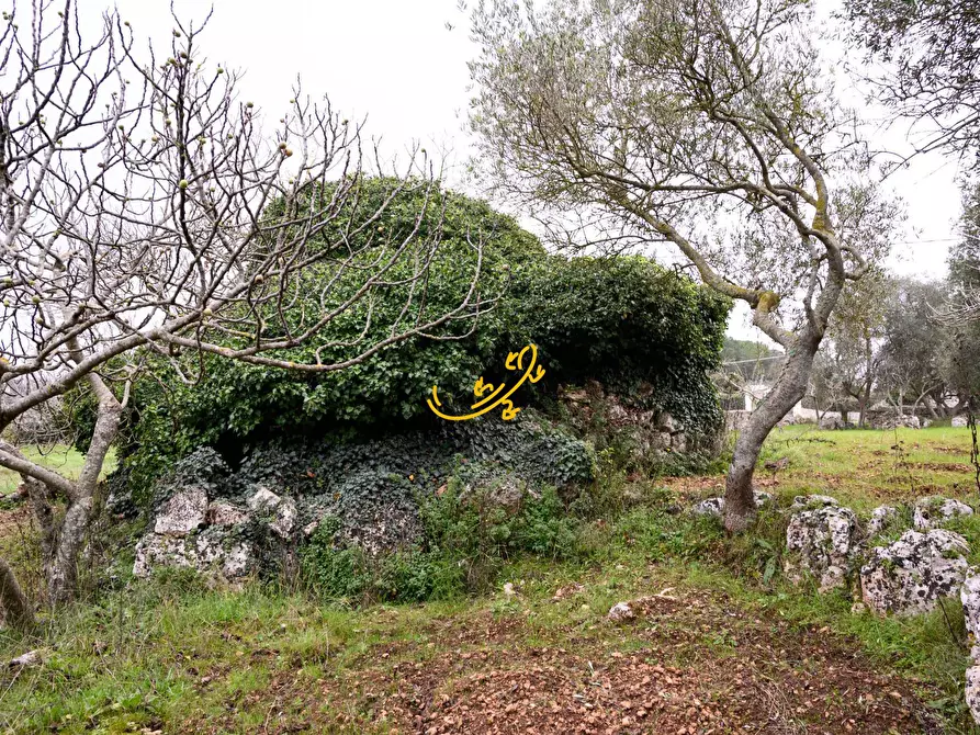 Immagine 11 di Baita in vendita  in C. da Santa Maria del Soccorso a Noci
