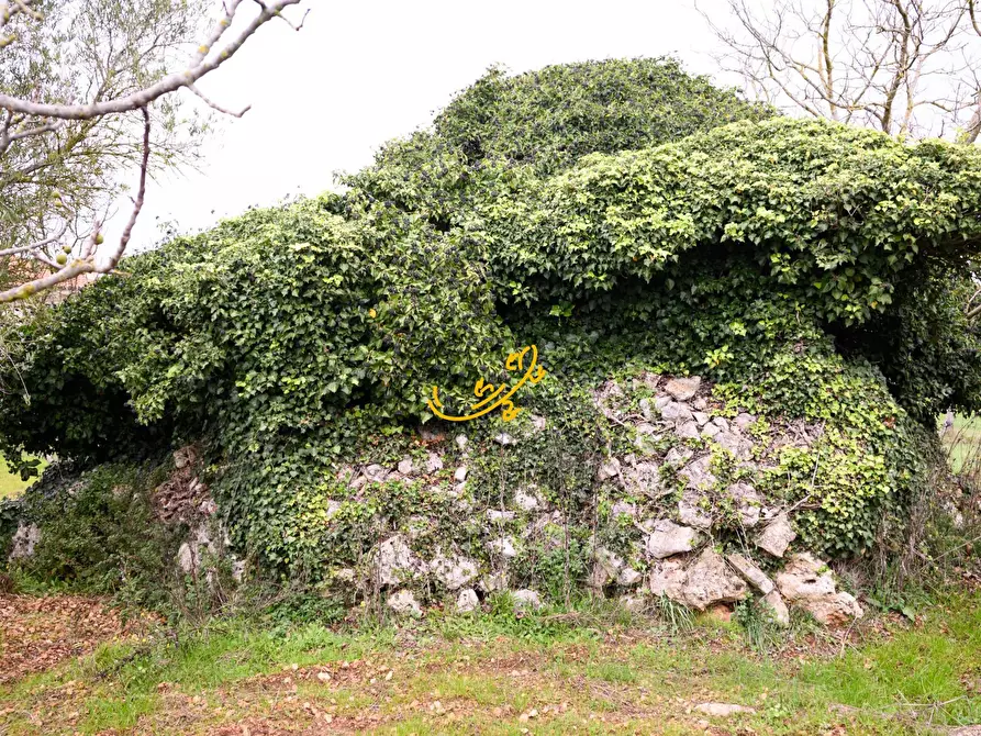 Immagine 1 di Baita in vendita  in C. da Santa Maria del Soccorso a Noci