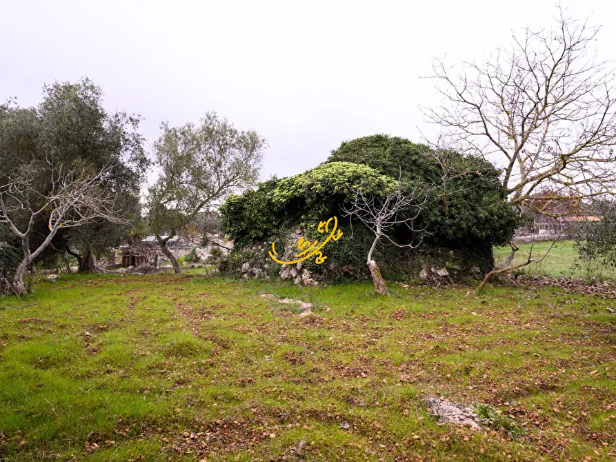 Immagine 12 di Baita in vendita  in C. da Santa Maria del Soccorso a Noci