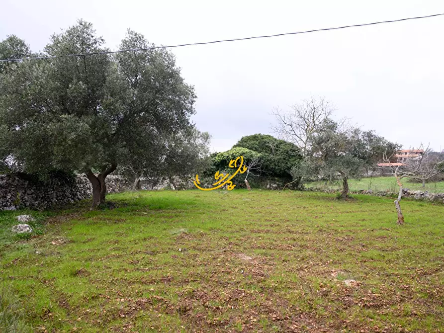 Immagine 13 di Baita in vendita  in C. da Santa Maria del Soccorso a Noci