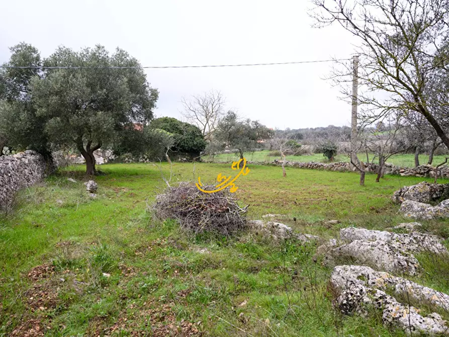 Immagine 14 di Baita in vendita  in C. da Santa Maria del Soccorso a Noci