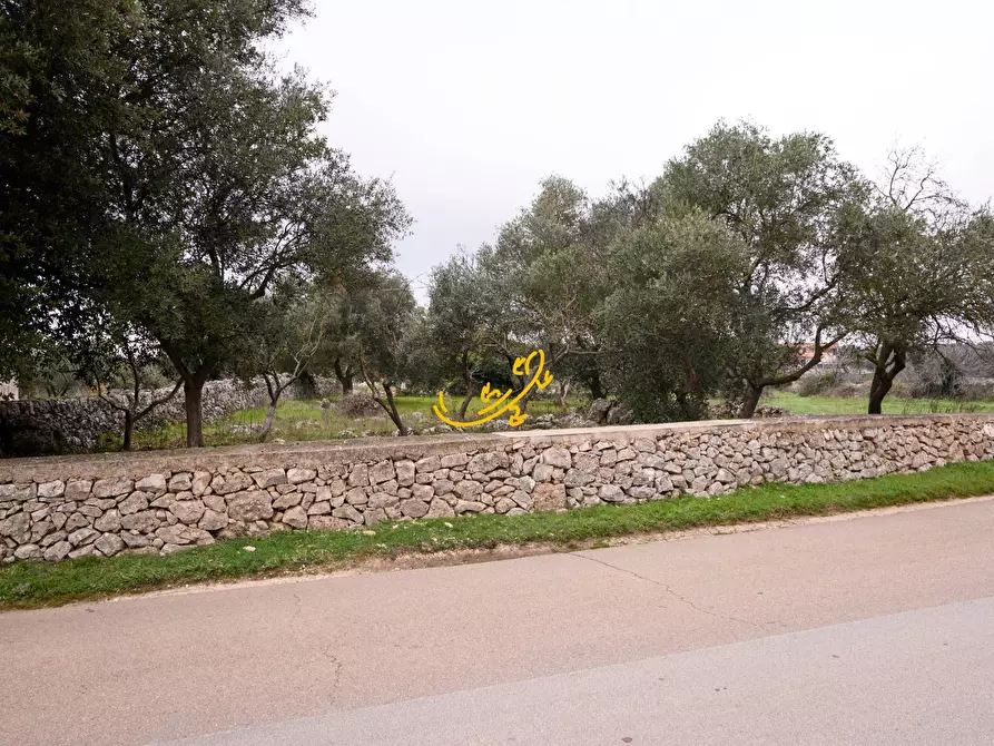 Immagine 15 di Baita in vendita  in C. da Santa Maria del Soccorso a Noci