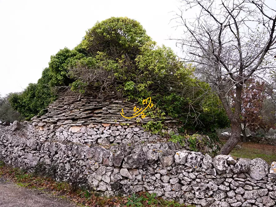 Immagine 3 di Baita in vendita  in Contrada Montedoro a Noci