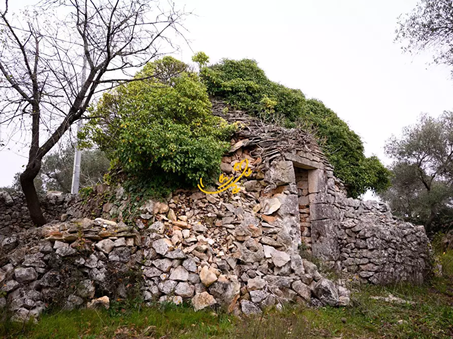 Immagine 2 di Baita in vendita  in Contrada Montedoro a Noci