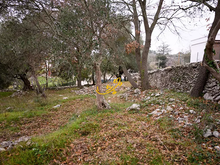 Immagine 10 di Baita in vendita  in Contrada Montedoro a Noci