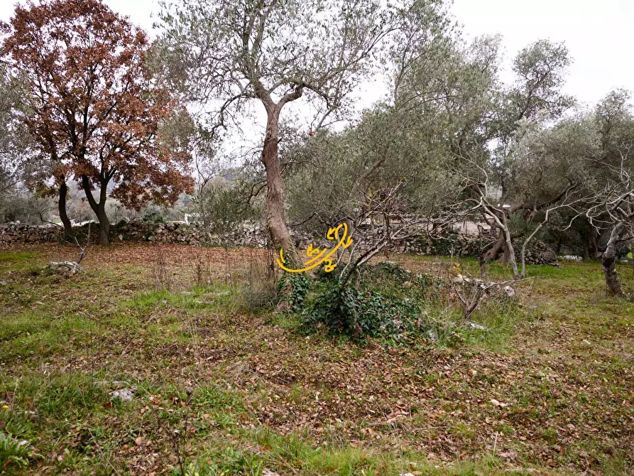 Immagine 11 di Baita in vendita  in Contrada Montedoro a Noci