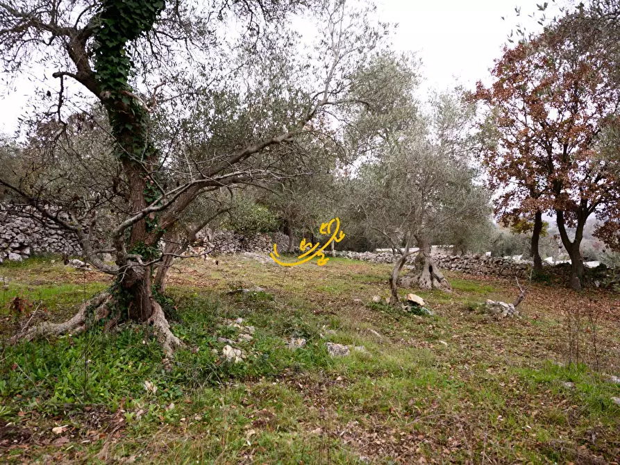 Immagine 12 di Baita in vendita  in Contrada Montedoro a Noci
